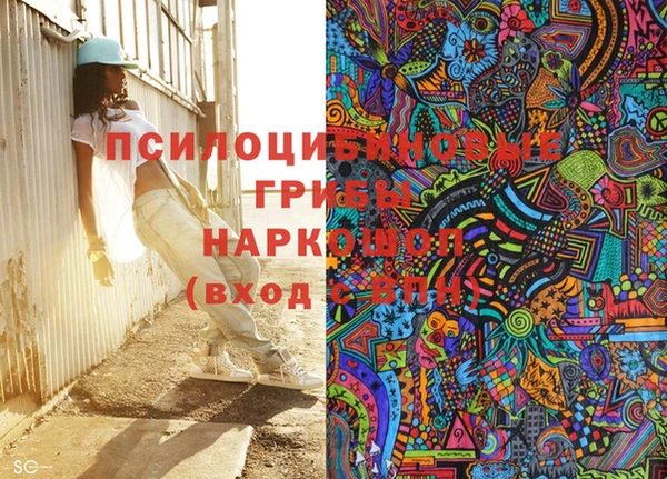 ПСИЛОЦИБИНОВЫЕ ГРИБЫ Абинск