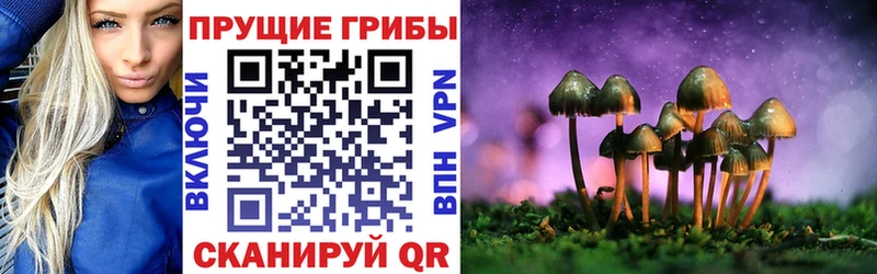 сколько стоит  Мосальск  Псилоцибиновые грибы GOLDEN TEACHER 